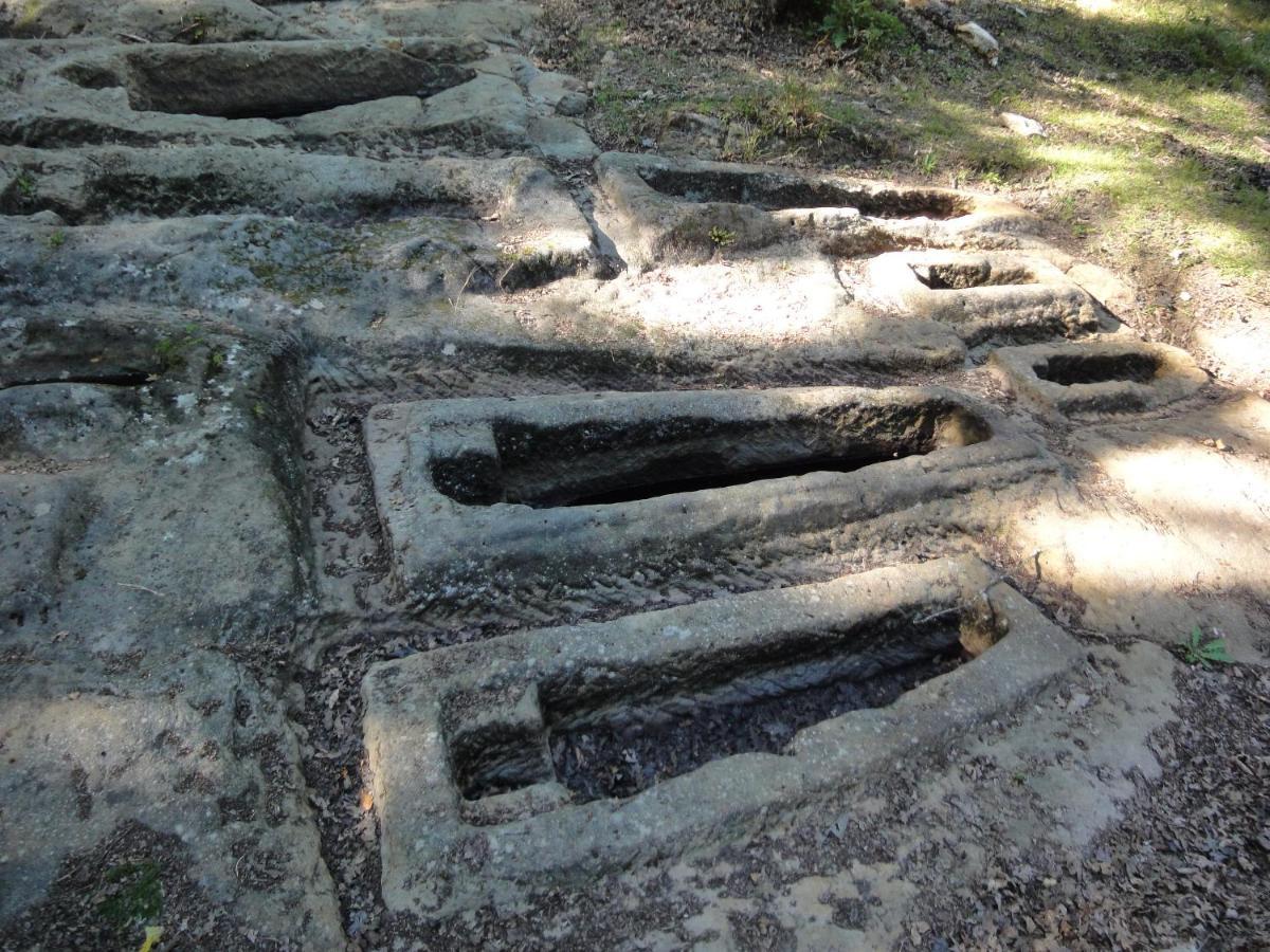 Pensjonat El Mirador De Casa Guarena Villabascones de Sotoscueva Zewnętrze zdjęcie