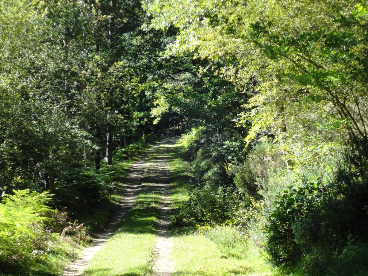 Pensjonat El Mirador De Casa Guarena Villabascones de Sotoscueva Zewnętrze zdjęcie